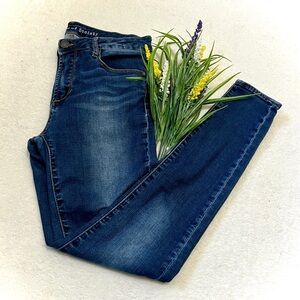 Articles of Society Medium Wash Skinny Jean - Size 27